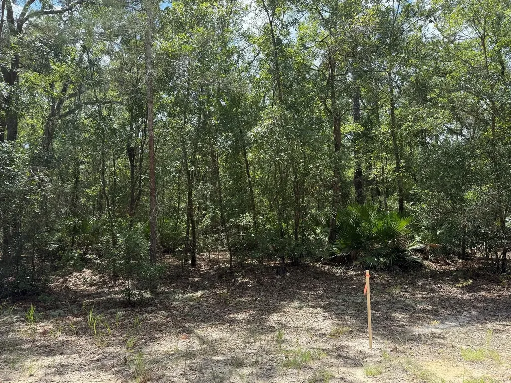 109 Pinellas Street Florahome FL 32140