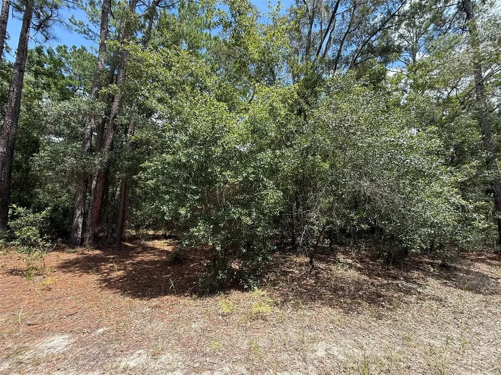 109 Pinellas Street Florahome FL 32140