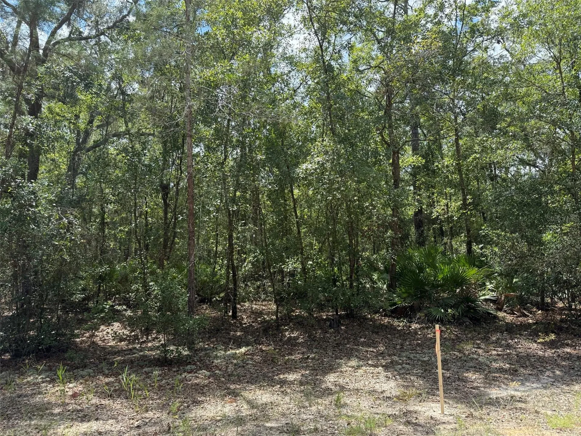 109 Pinellas Street Florahome FL 32140