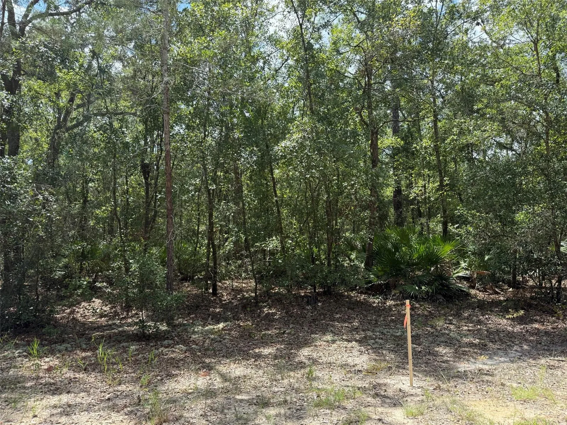 109 Pinellas Street Florahome FL 32140