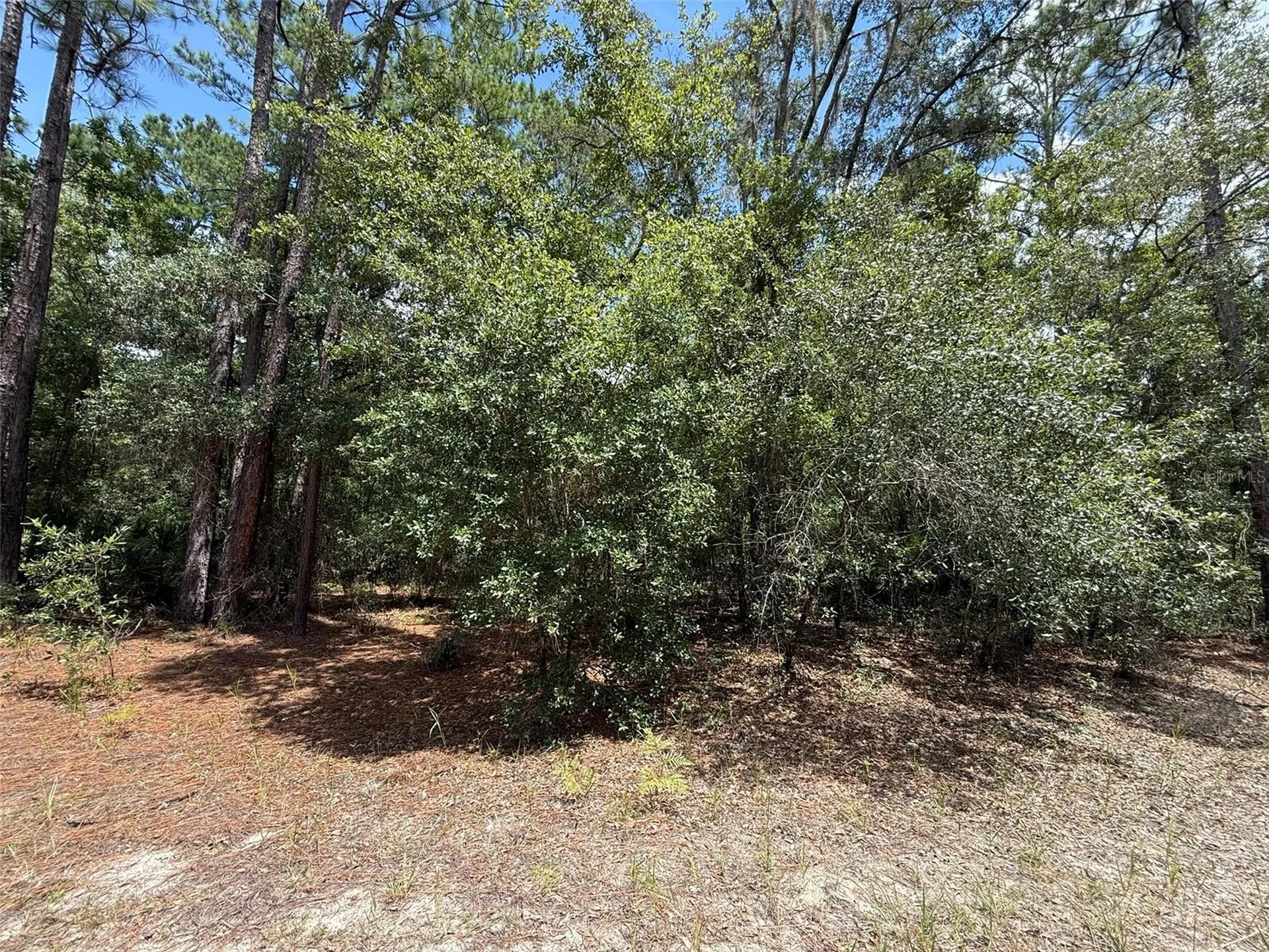 109 Pinellas Street Florahome FL 32140