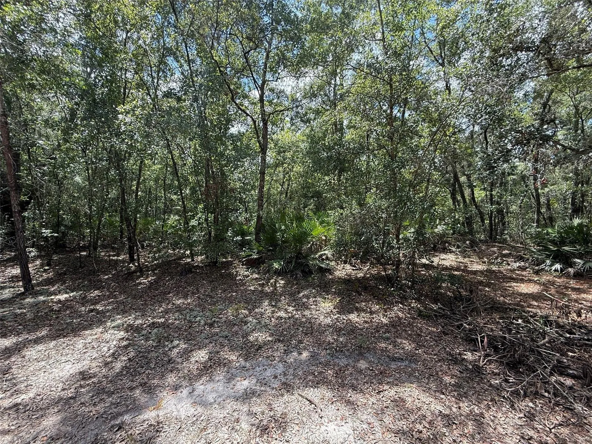 109 Pinellas Street Florahome FL 32140