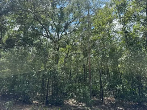 109 Pinellas Street Florahome FL 32140