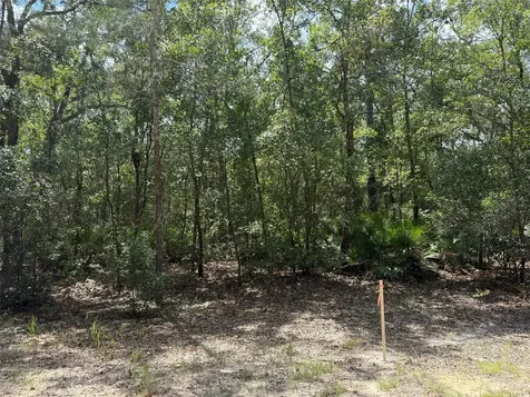 109 Pinellas Street Florahome FL 32140