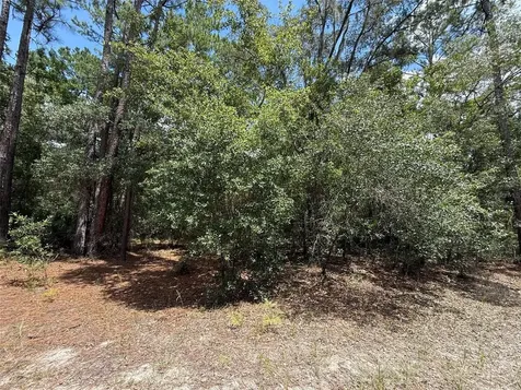 109 Pinellas Street Florahome FL 32140