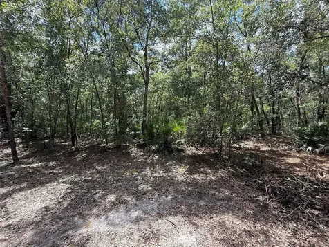 109 Pinellas Street Florahome FL 32140