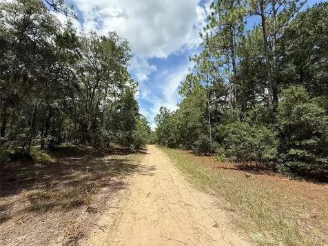 109 Pinellas Street Florahome FL 32140