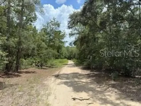 109 Pinellas Street Florahome FL 32140