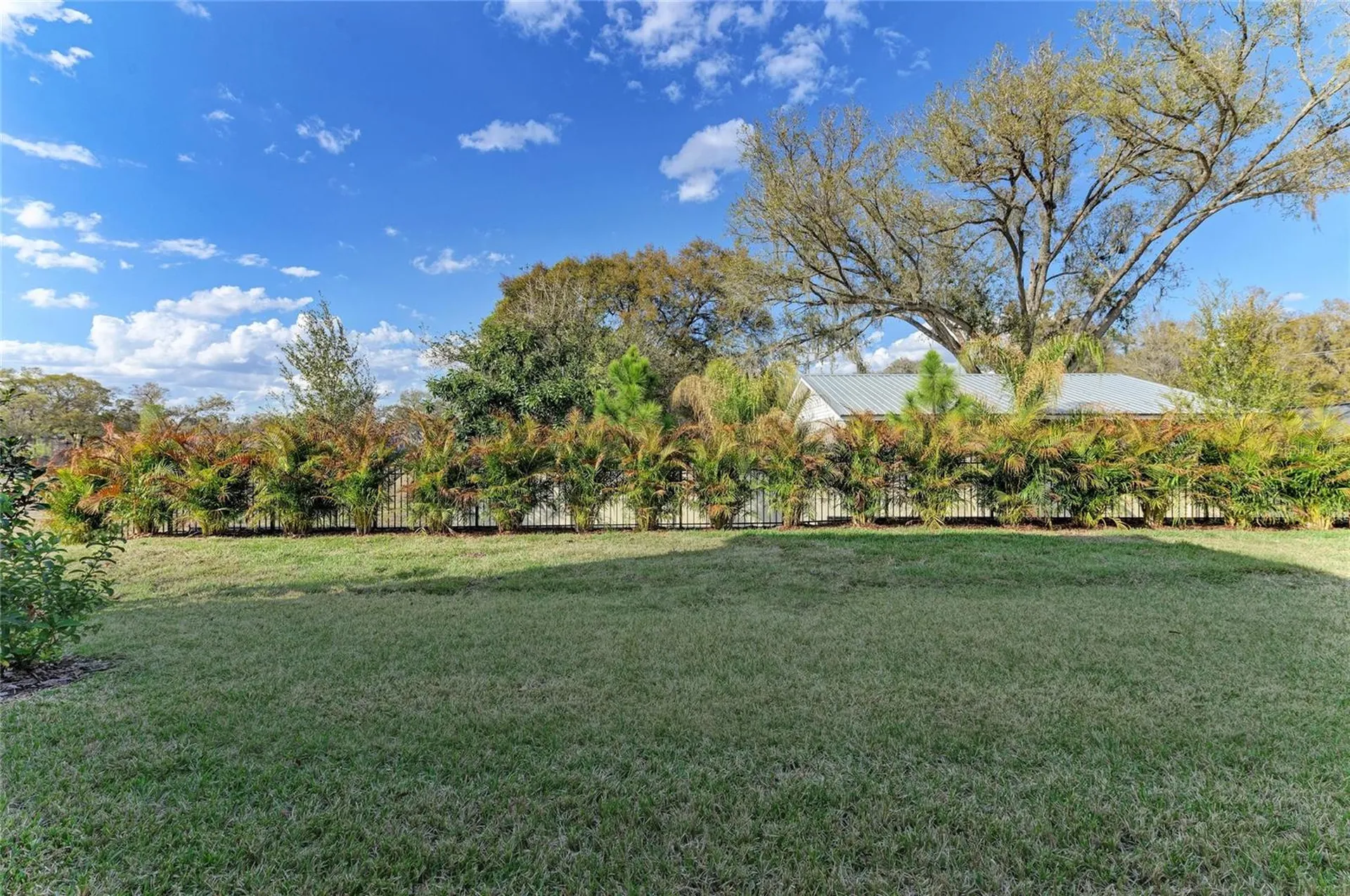 4624 Cedar Fog Ct Drive Valrico FL 33596
