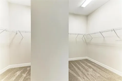 4624 Cedar Fog Ct Drive Valrico FL 33596