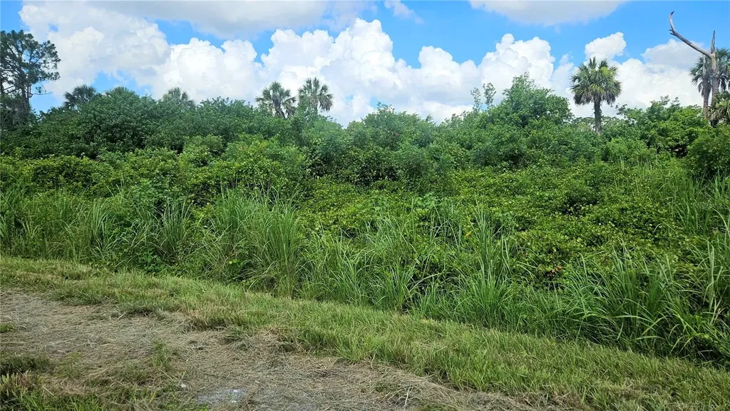 Custer Lot #25 Circle North Port FL 34288