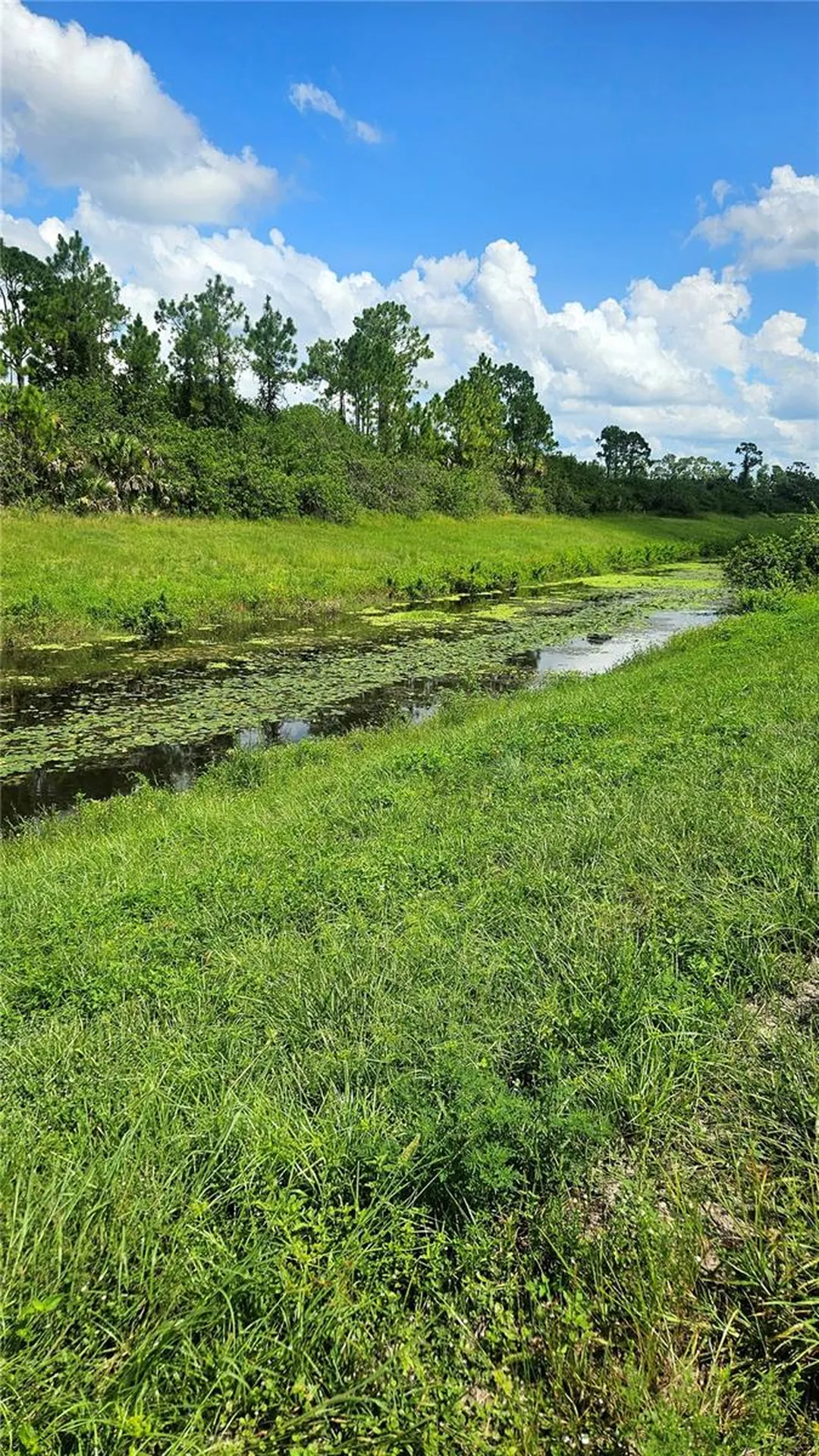 Custer Lot #25 Circle North Port FL 34288