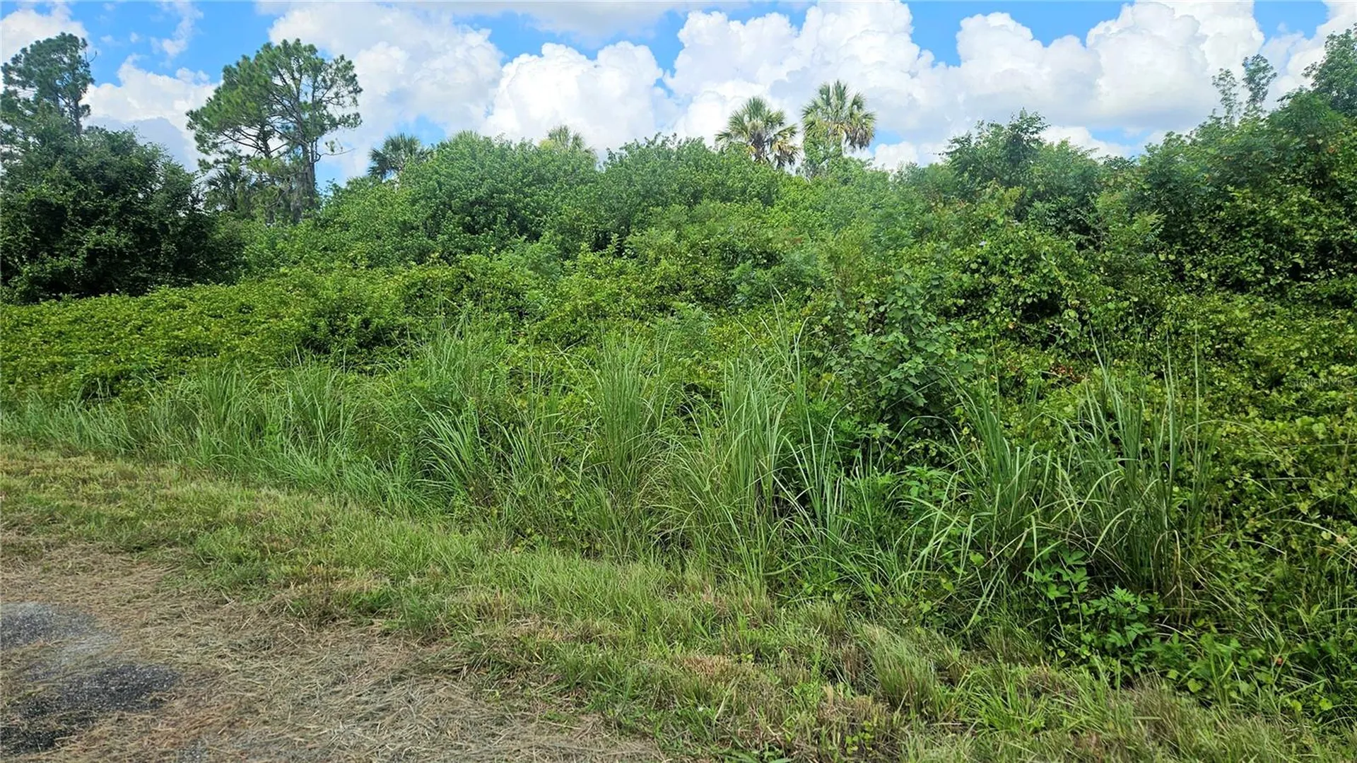 Custer Lot #25 Circle North Port FL 34288