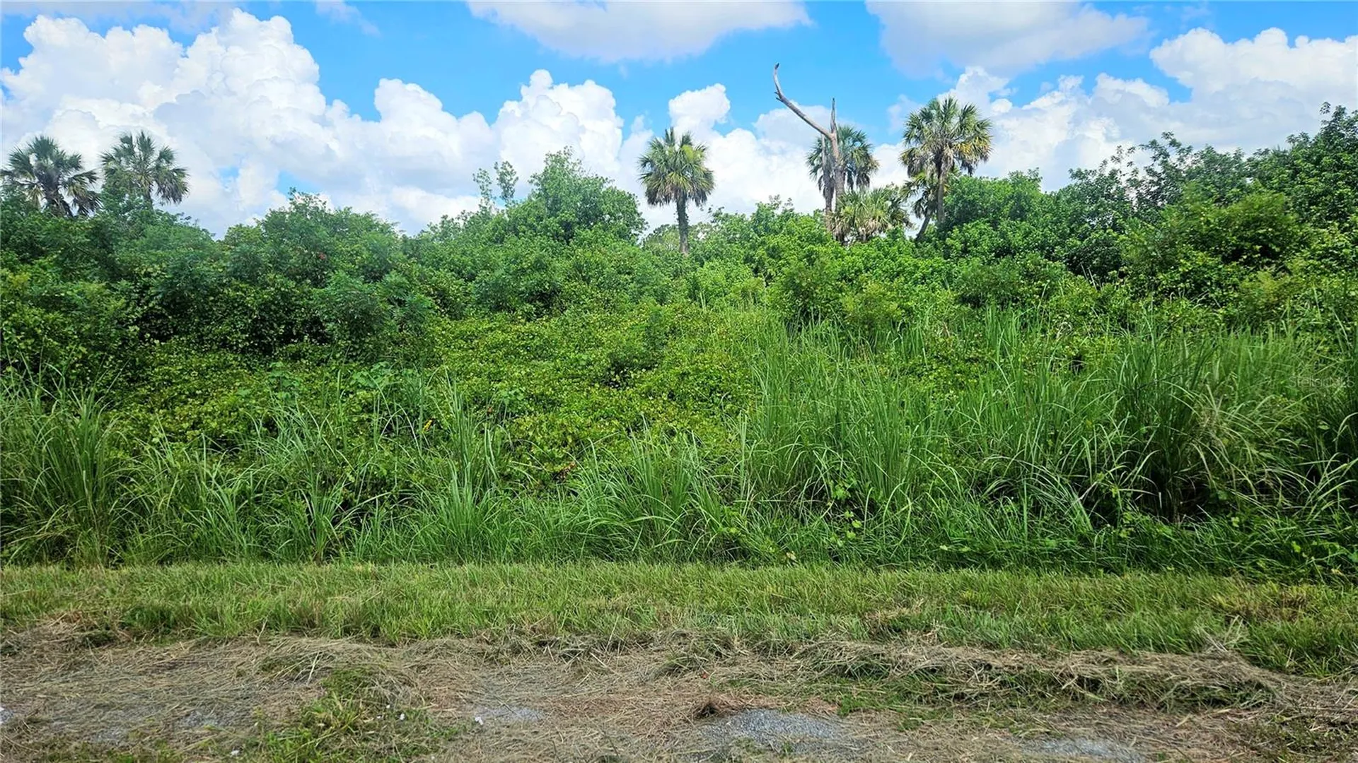 Custer Lot #25 Circle North Port FL 34288