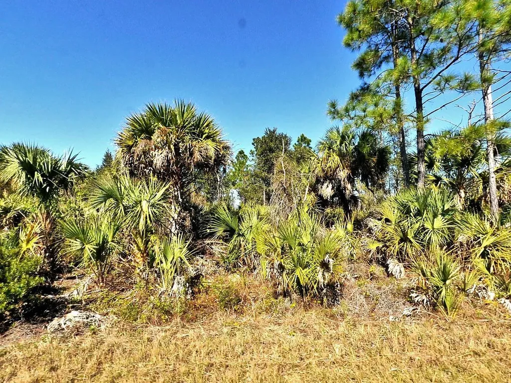 Fiveleaf Road North Port FL 34288