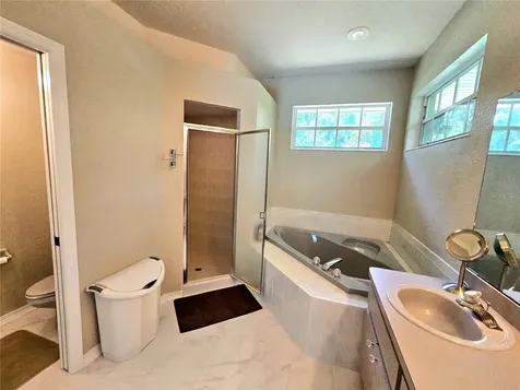 16904 Tobacco Road Lutz FL 33558