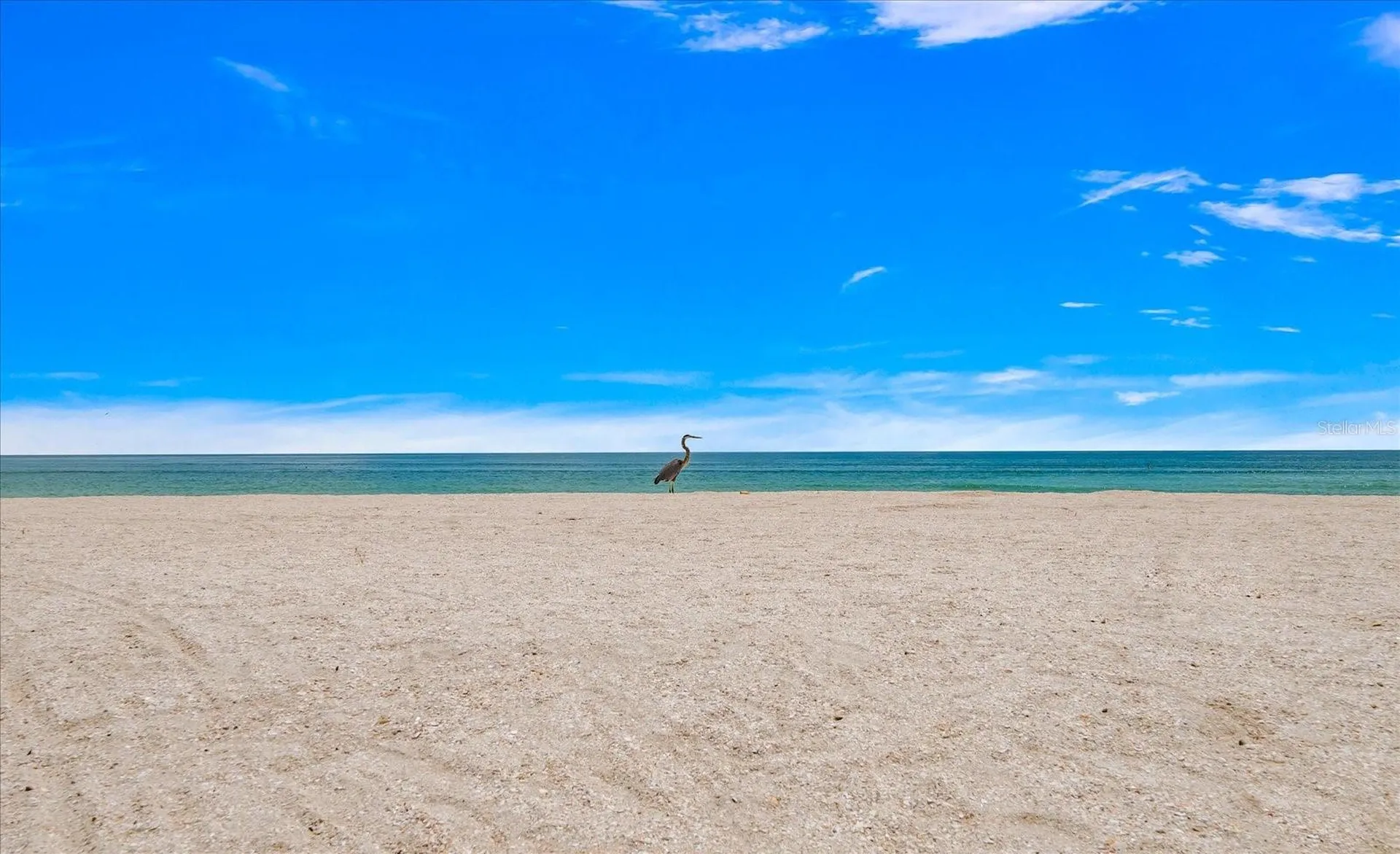 8405 Bayshore Drive Treasure Island FL 33706