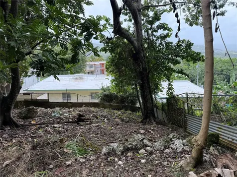 SR-446 Km 6.3 Bo Robles San Sebastian PR 00685
