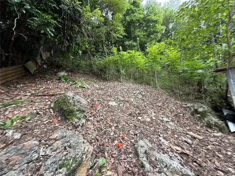 SR-446 Km 6.3 Bo Robles San Sebastian PR 00685