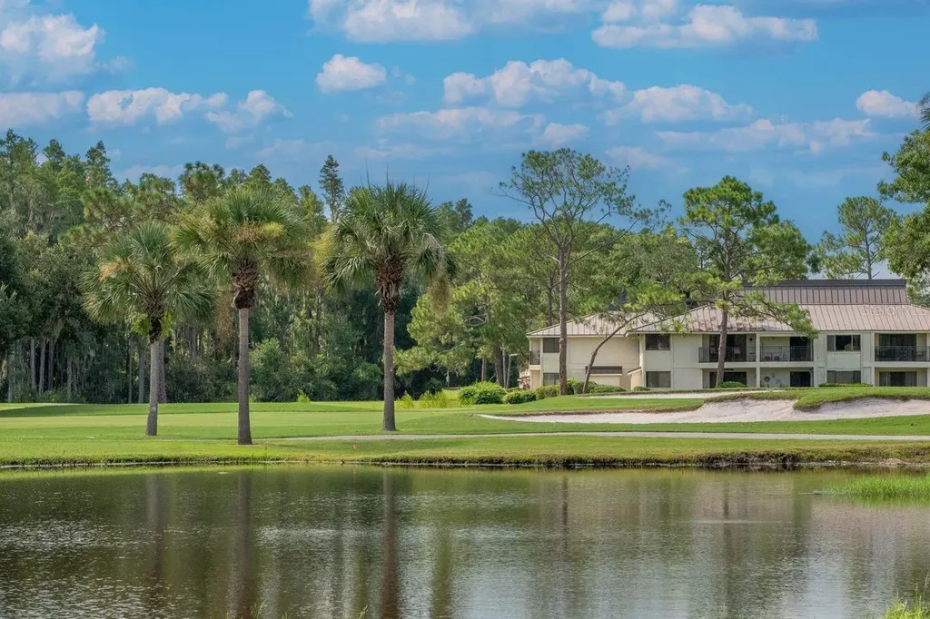 4947 Mill Pond Road Wesley Chapel FL 33543