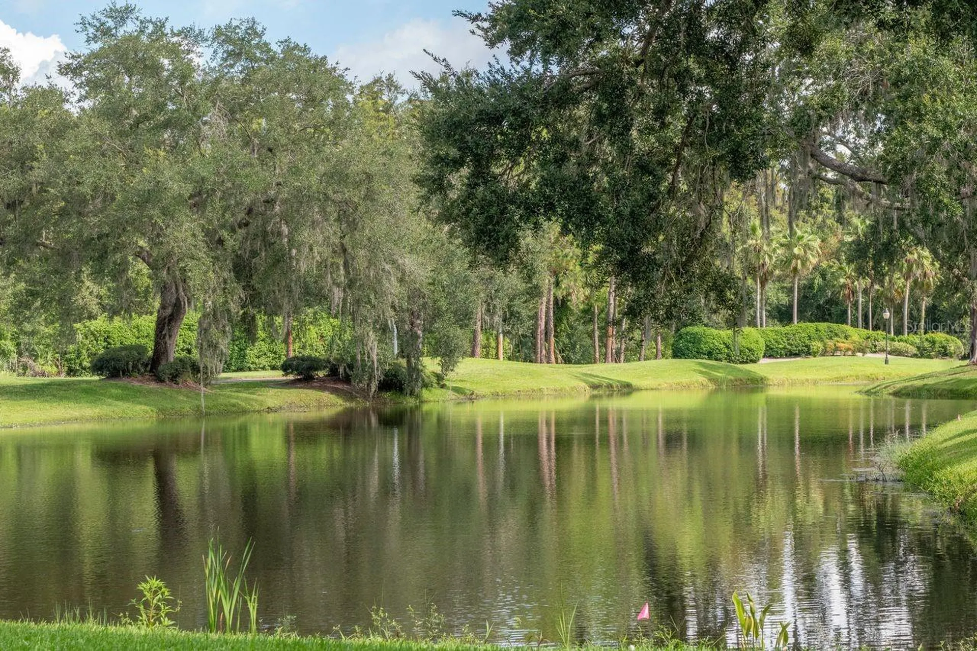 4947 Mill Pond Road Wesley Chapel FL 33543