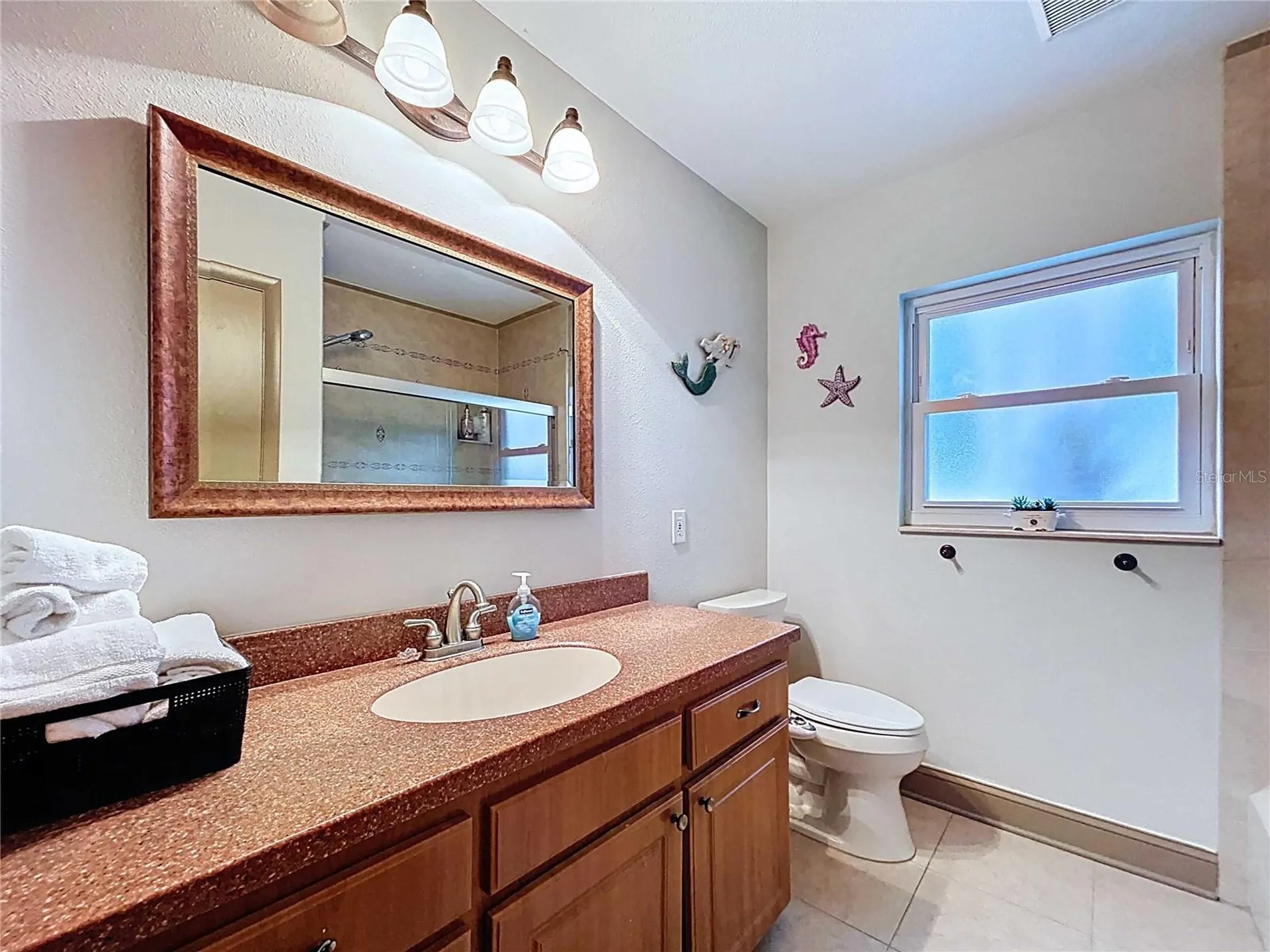 3912 Fontainebleau Drive Tampa FL 33634