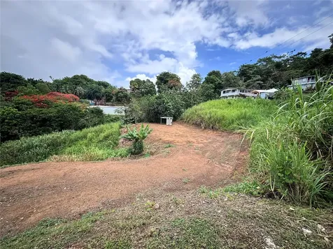 Barrio Guadiana Camino Colon Naranjito PR 00719