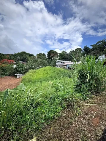 Barrio Guadiana Camino Colon Naranjito PR 00719