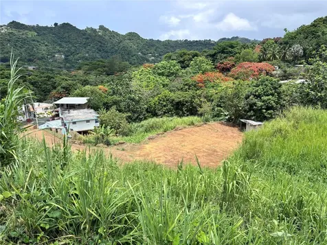 Barrio Guadiana Camino Colon Naranjito PR 00719