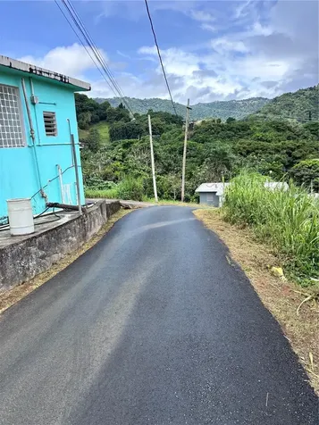 Barrio Guadiana Camino Colon Naranjito PR 00719