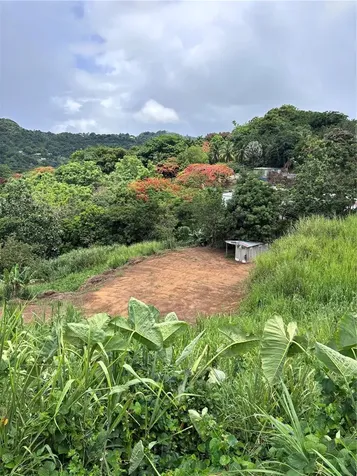 Barrio Guadiana Camino Colon Naranjito PR 00719