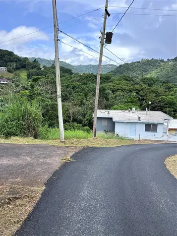 Barrio Guadiana Camino Colon Naranjito PR 00719