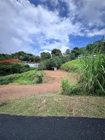 Barrio Guadiana Camino Colon Naranjito PR 00719