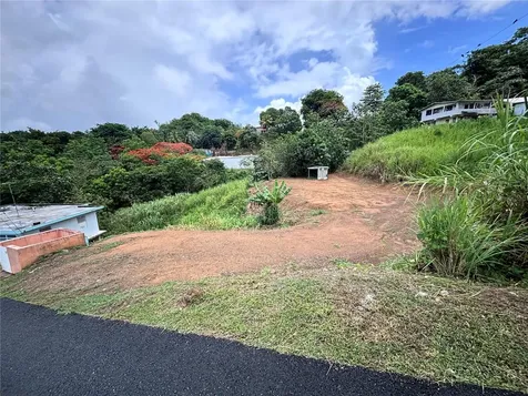 Barrio Guadiana Camino Colon Naranjito PR 00719