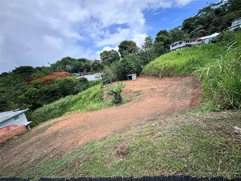 Barrio Guadiana Camino Colon Naranjito PR 00719