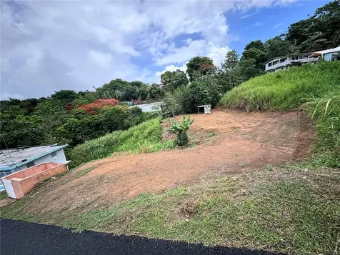 Barrio Guadiana Camino Colon Naranjito PR 00719