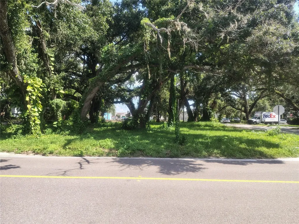 113 E Robertson Street Brandon FL 33511