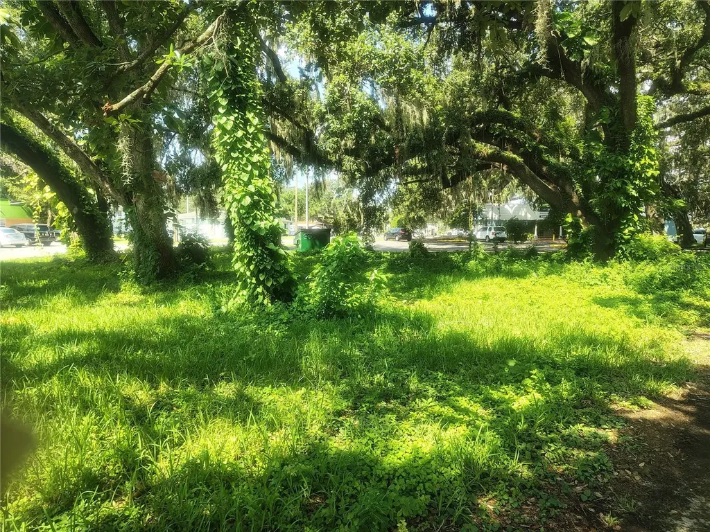 113 E Robertson Street Brandon FL 33511