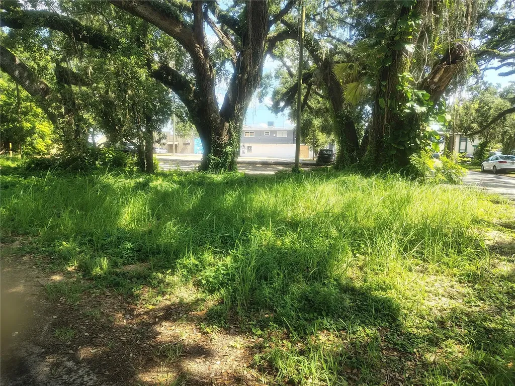 113 E Robertson Street Brandon FL 33511