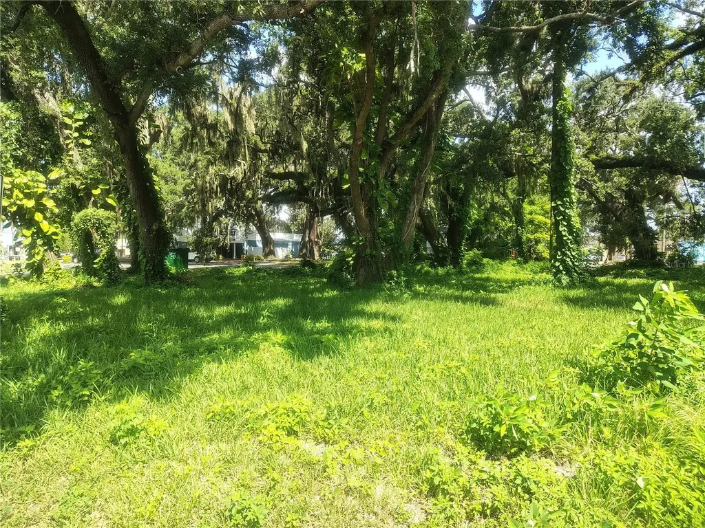 113 E Robertson Street Brandon FL 33511