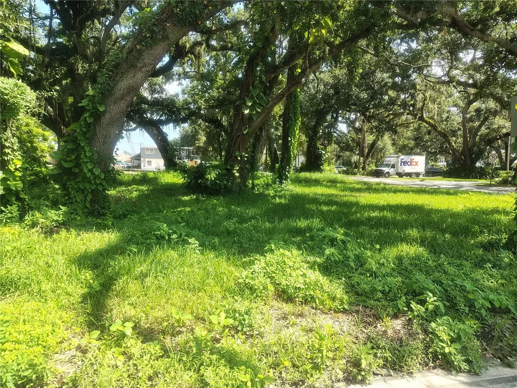 113 E Robertson Street Brandon FL 33511