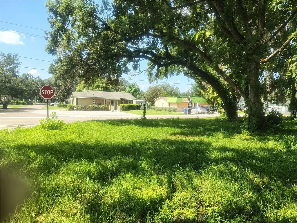 113 E Robertson Street Brandon FL 33511