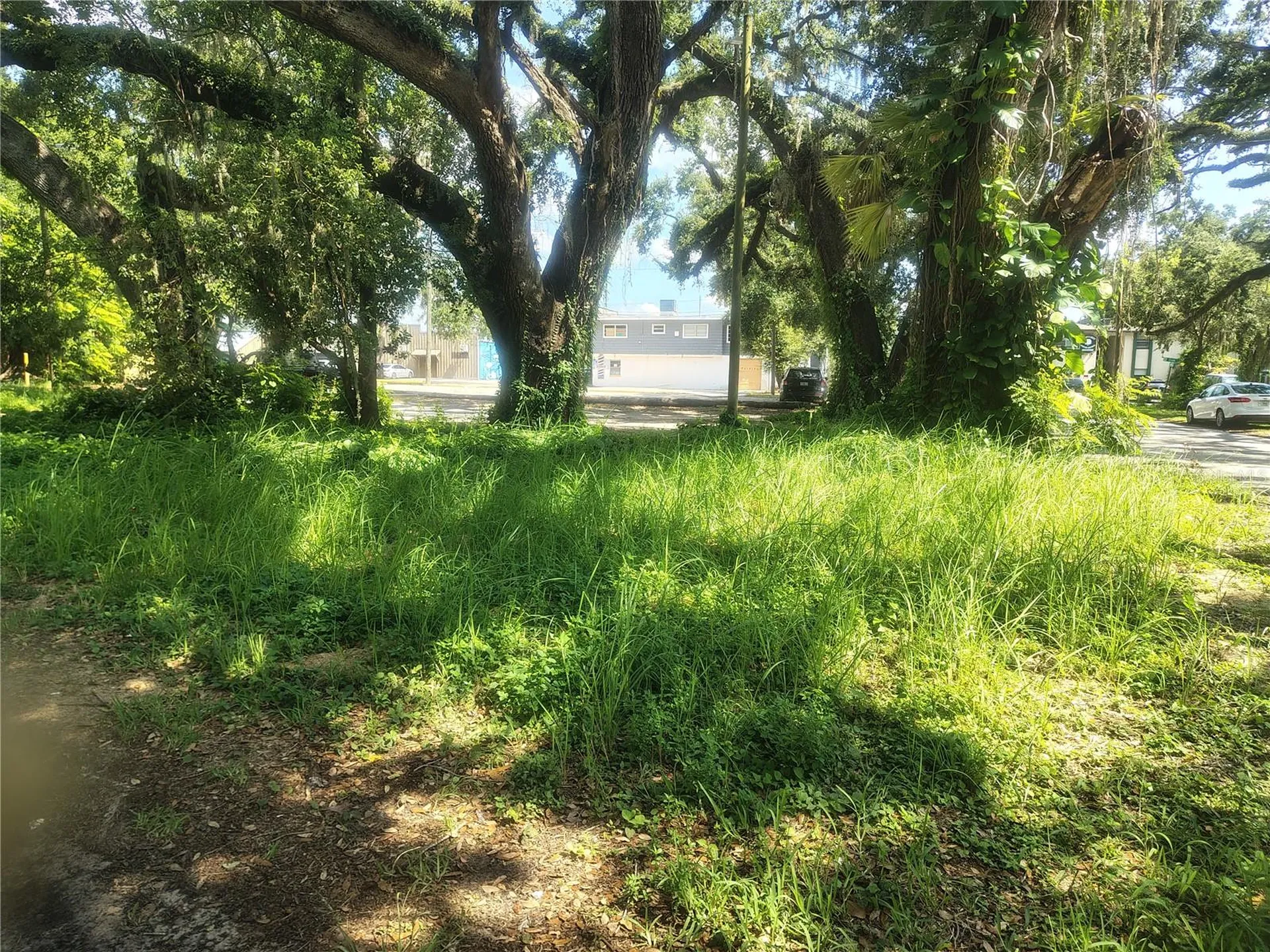 113 E Robertson Street Brandon FL 33511