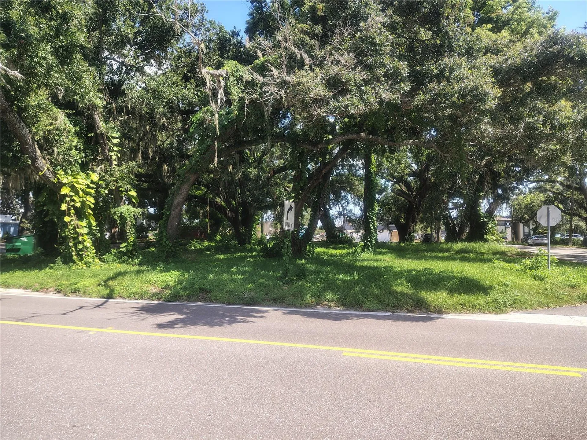 113 E Robertson Street Brandon FL 33511