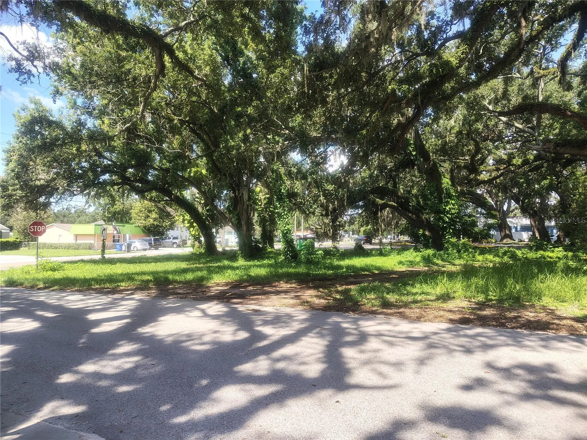 113 E Robertson Street Brandon FL 33511