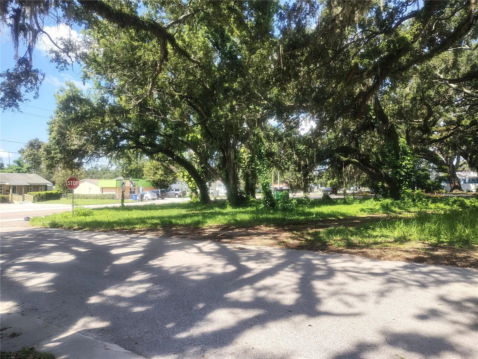 113 E Robertson Street Brandon FL 33511