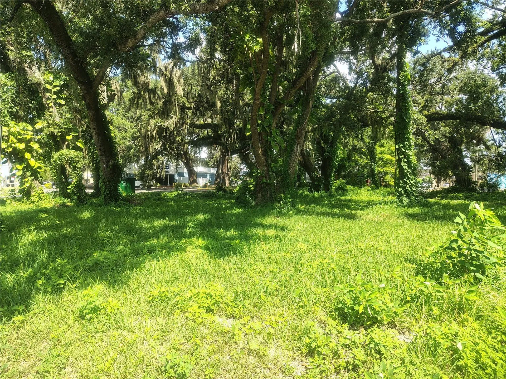113 E Robertson Street Brandon FL 33511