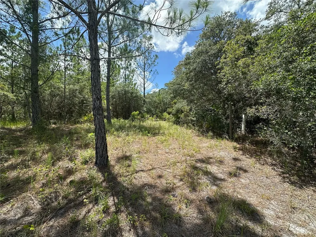 796 Fisher Road Ocklawaha FL 32179
