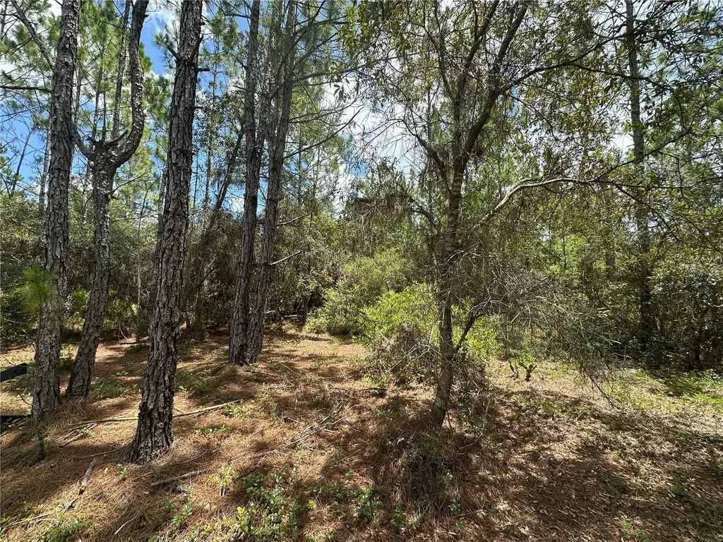 796 Fisher Road Ocklawaha FL 32179