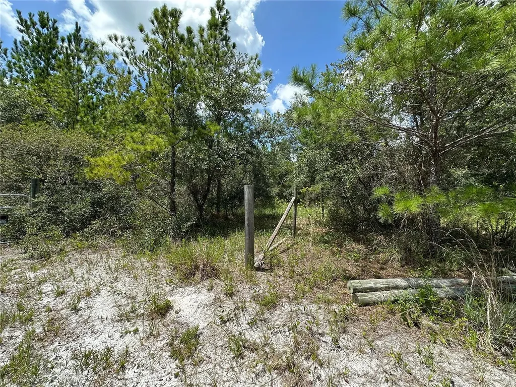796 Fisher Road Ocklawaha FL 32179